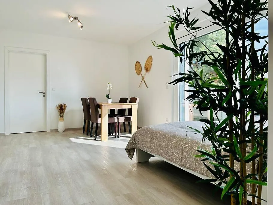 Sunny Modern Apartment With Balcony - Free Parking Vienna 0*,